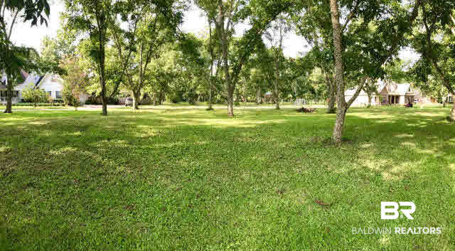 0 Cape Fear Boulevard Foley, AL 36535 - Photo 10 of 15 Lot View