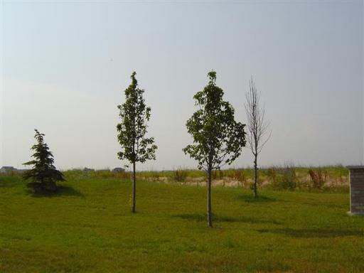 23915 Old Farm Road Manhattan, IL 60442 - Photo 1 of 1 Gallery Image 1