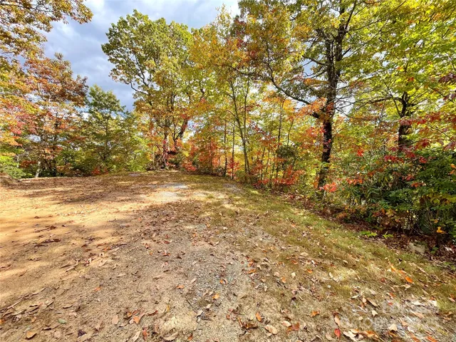 a view of backyard with tree