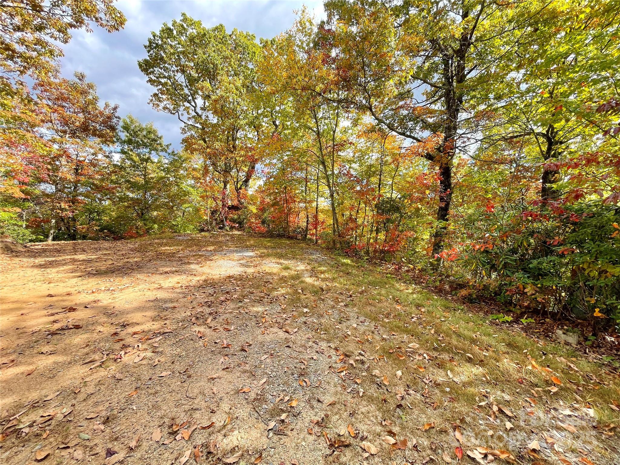 57 Grouse Ridge Drive Black Mountain, NC 28711 - Photo 13 of 44 a view of backyard with tree