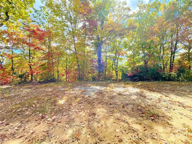 a view of outdoor space with trees