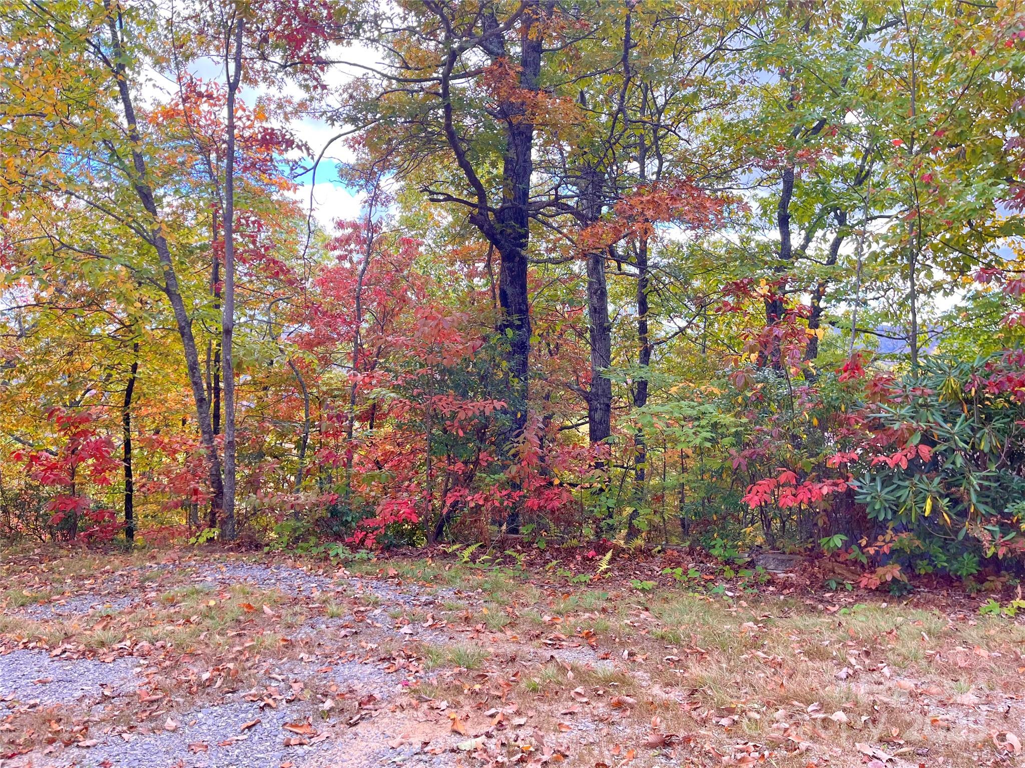 57 Grouse Ridge Drive Black Mountain, NC 28711 - Photo 15 of 44 a backyard of a house with lots of green space