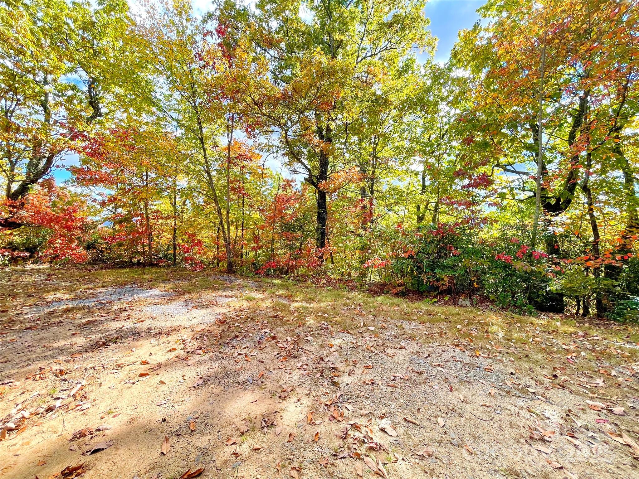 57 Grouse Ridge Drive Black Mountain, NC 28711 - Photo 16 of 44 a view of yard with trees