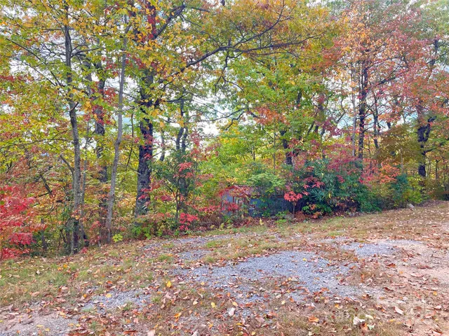 a view of street with trees