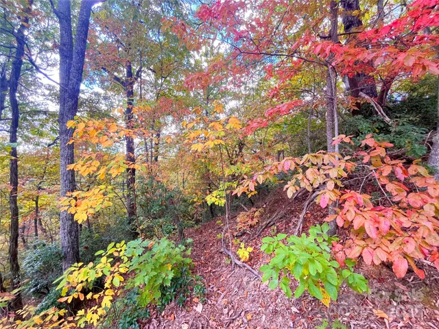 a picture of flowers