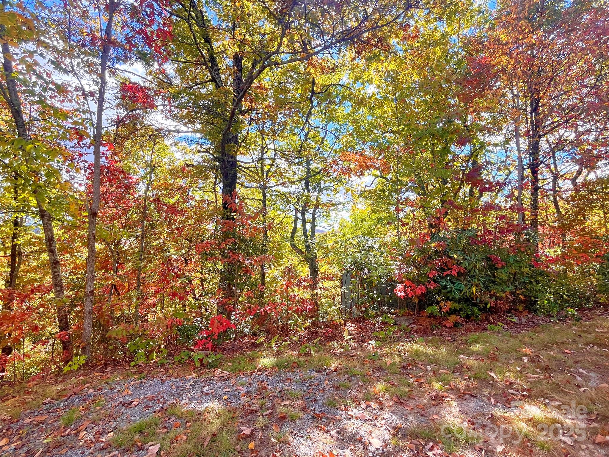 57 Grouse Ridge Drive Black Mountain, NC 28711 - Photo 2 of 44 a view of flowers in a yard