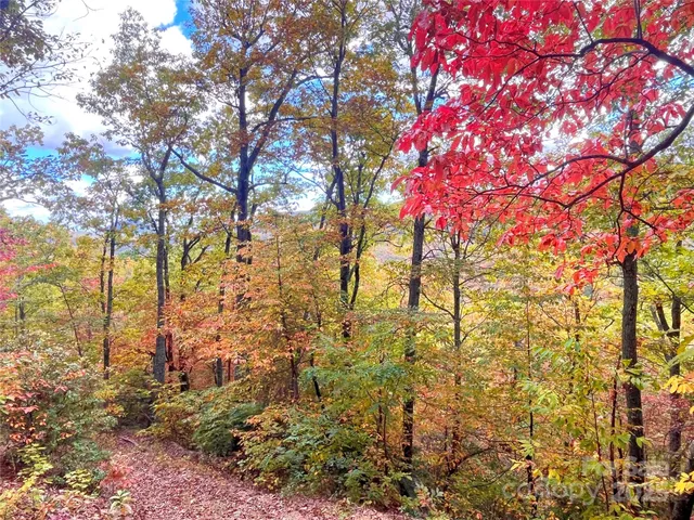 a backyard of a house