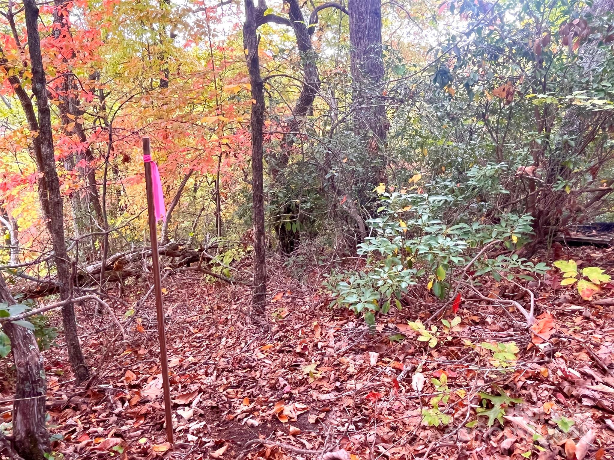 57 Grouse Ridge Drive Black Mountain, NC 28711 - Photo 22 of 44 a backyard of a house