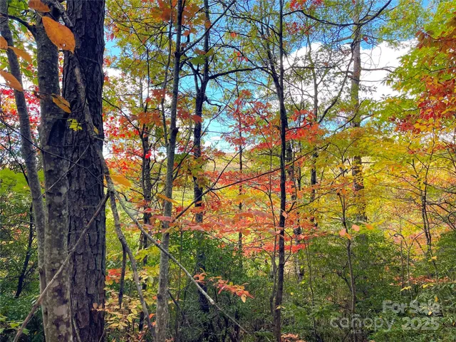 a backyard of a house with lots of green space and fog