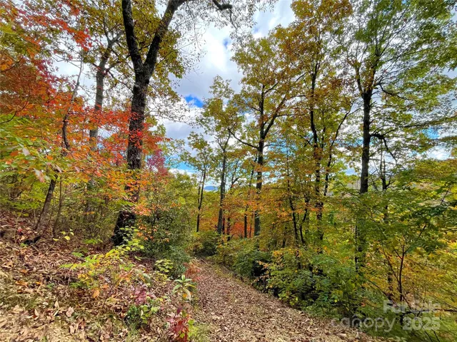 a sign that is sitting in front of a tree