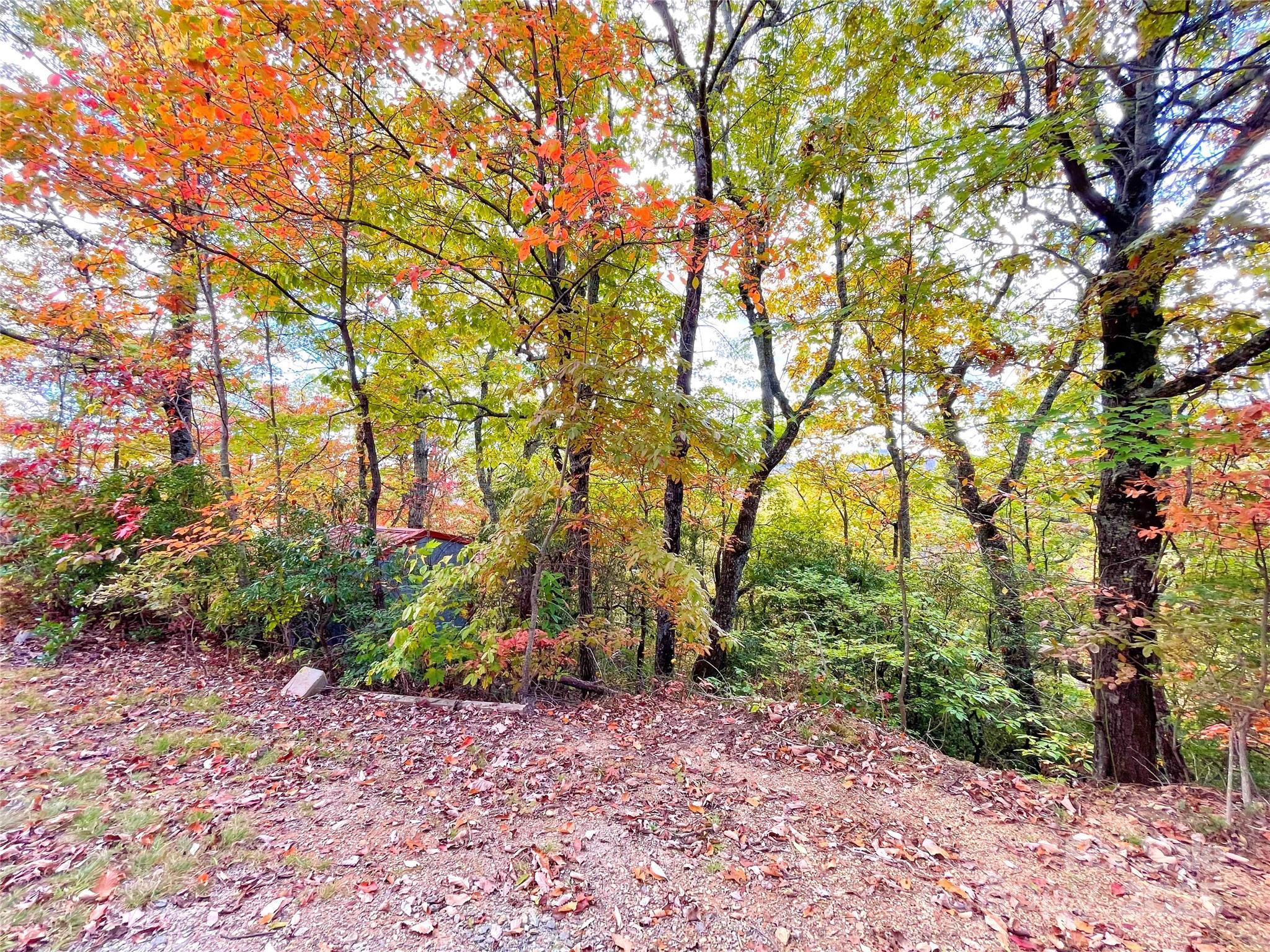 57 Grouse Ridge Drive Black Mountain, NC 28711 - Photo 35 of 44 a backyard of a house with lots of green space