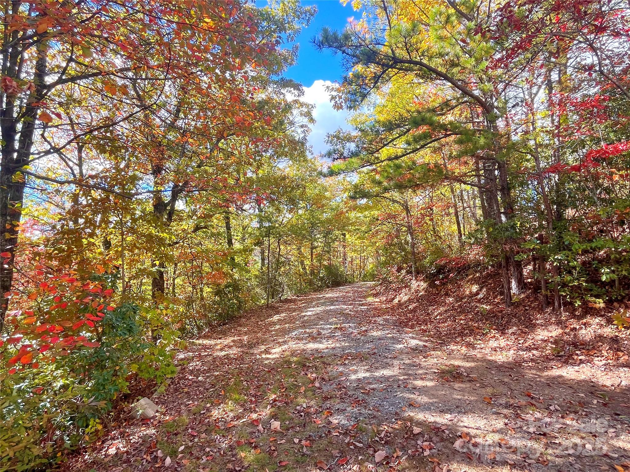 57 Grouse Ridge Drive Black Mountain, NC 28711 - Photo 36 of 44
