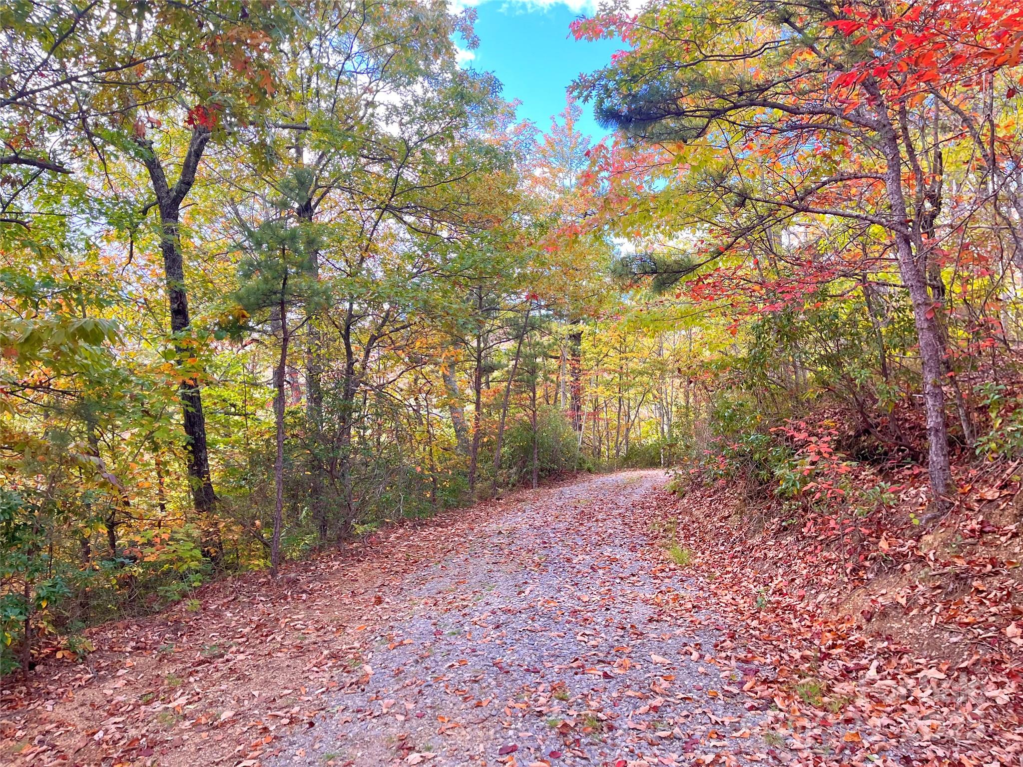 57 Grouse Ridge Drive Black Mountain, NC 28711 - Photo 37 of 44 a view of a yard with a tree