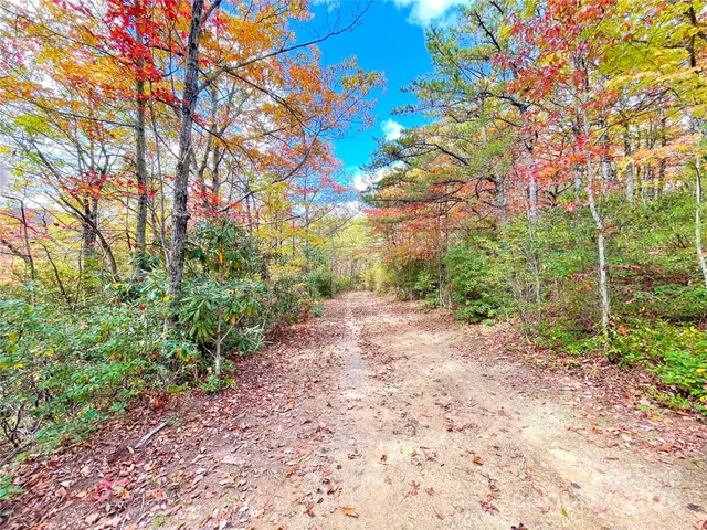 a picture of a room with lots of flowers