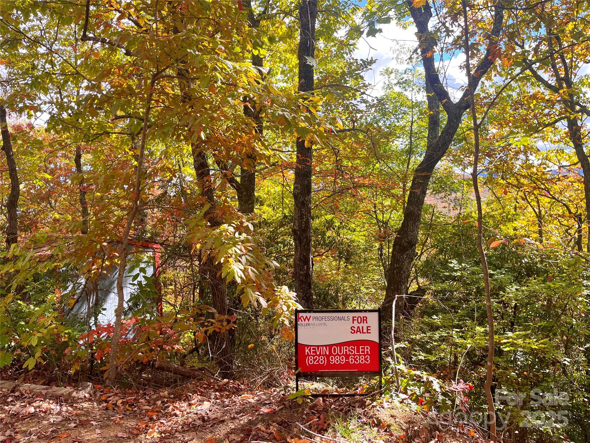 57 Grouse Ridge Drive Black Mountain, NC 28711 - Photo 40 of 44 a sign that is sitting in front of a tree