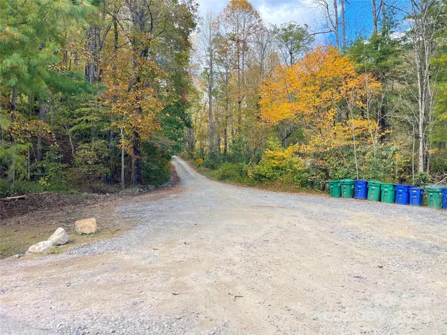 a view of a field with plants and trees