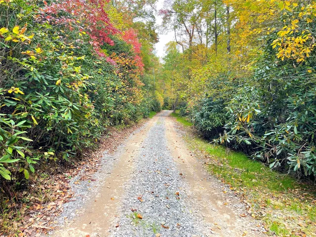 a view of a pathway both side of yard