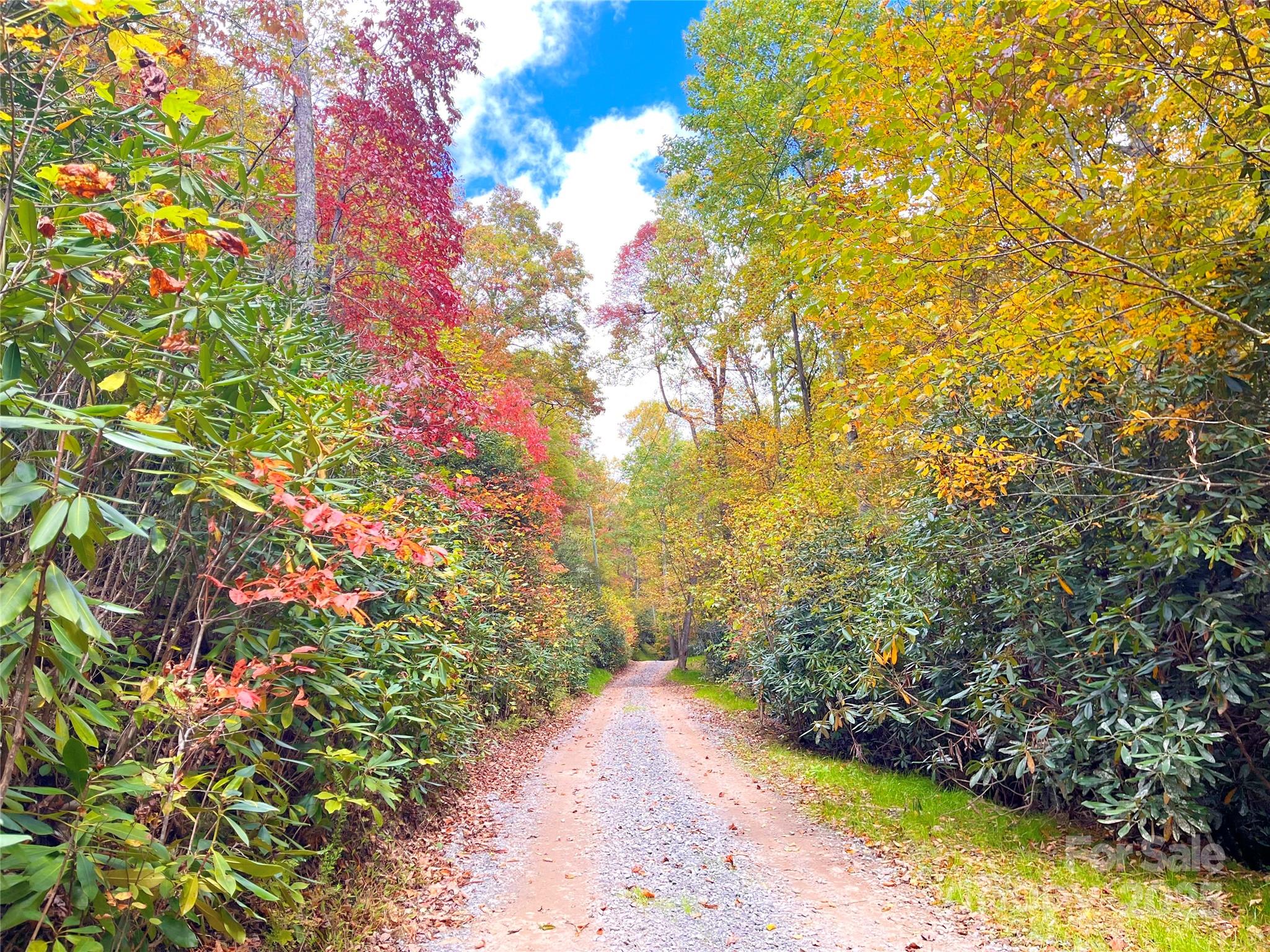57 Grouse Ridge Drive Black Mountain, NC 28711 - Photo 6 of 44 a view of flowers and trees in a yard
