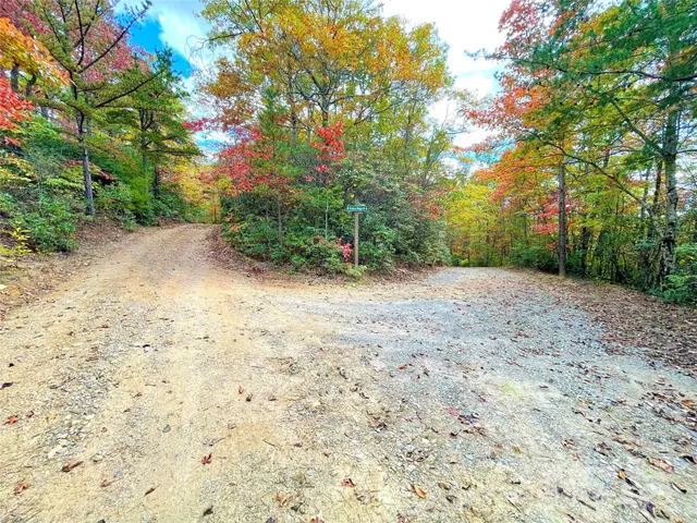 a view of a dirt road with trees in the background
