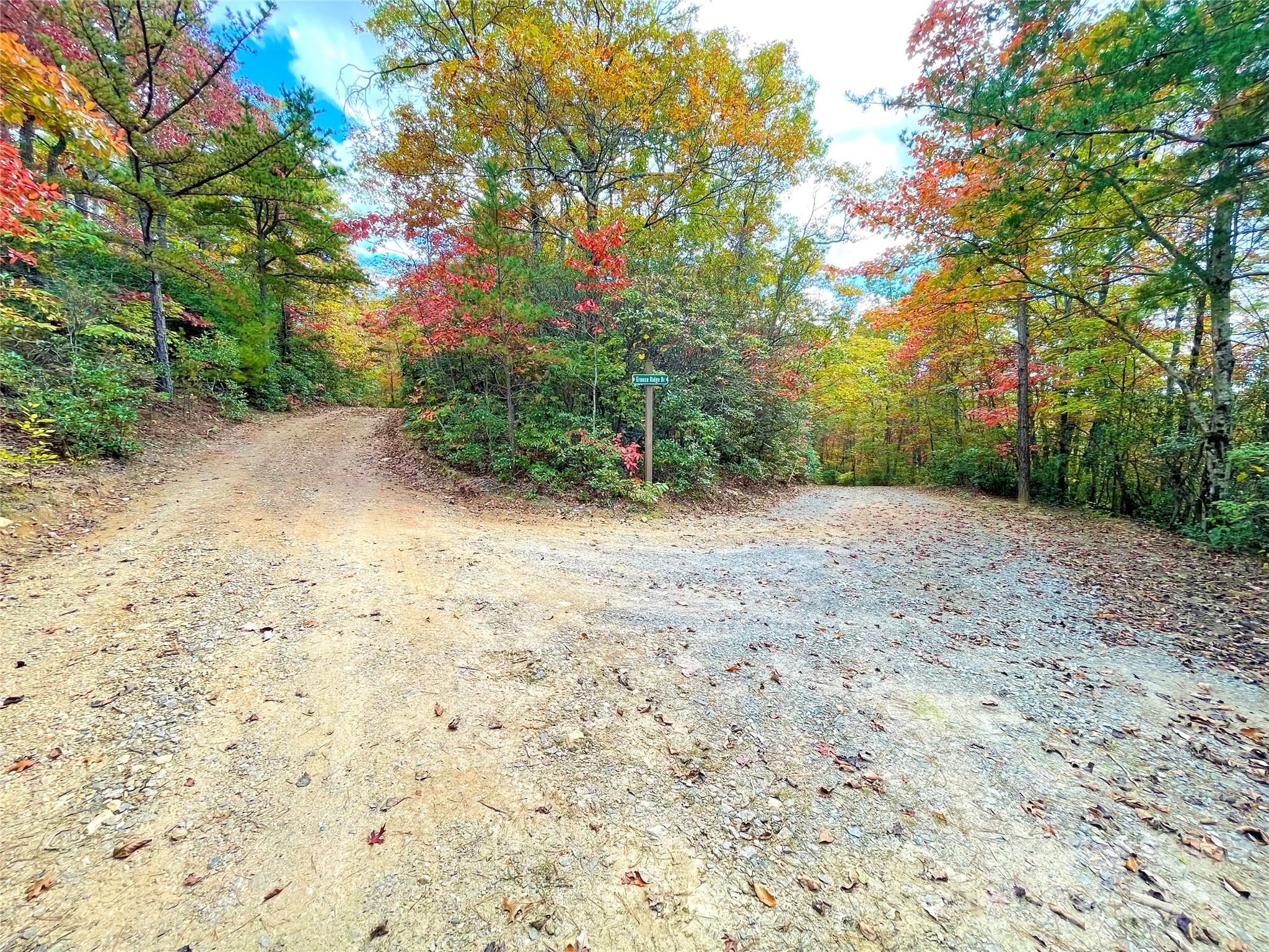 57 Grouse Ridge Drive Black Mountain, NC 28711 - Photo 7 of 44 a view of a dirt road with trees in the background