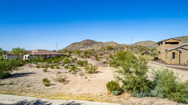a view of a yard with a house in the background