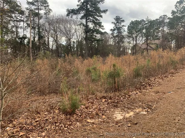 $35,000 | 0 Brookridge Drive, Cameron, NC 28326