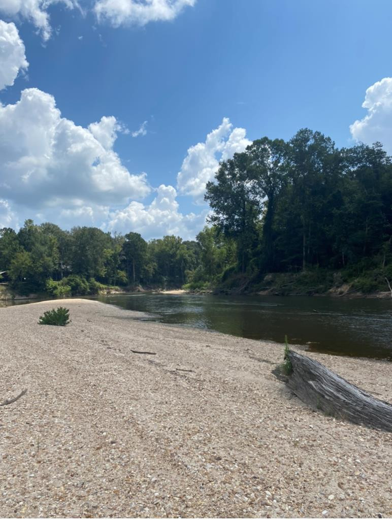 88 A Hinson Road Tylertown, MS 39667 - Photo 2 of 23 Photo 2