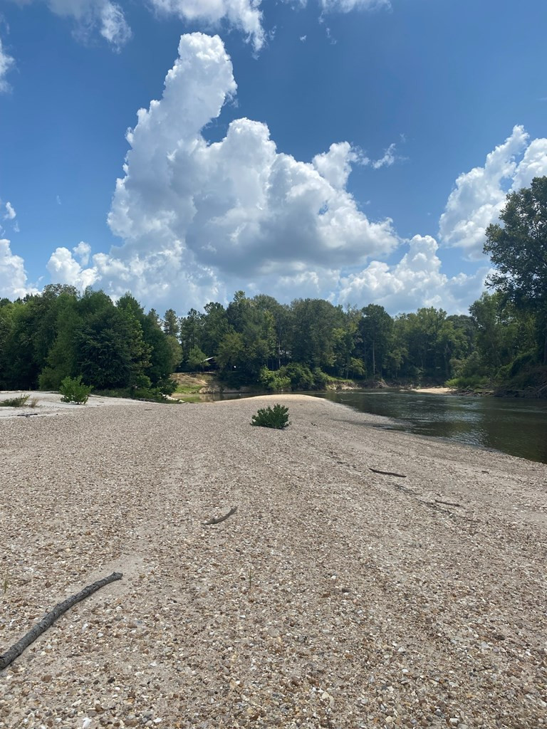 88 A Hinson Road Tylertown, MS 39667 - Photo 3 of 23 Photo 3