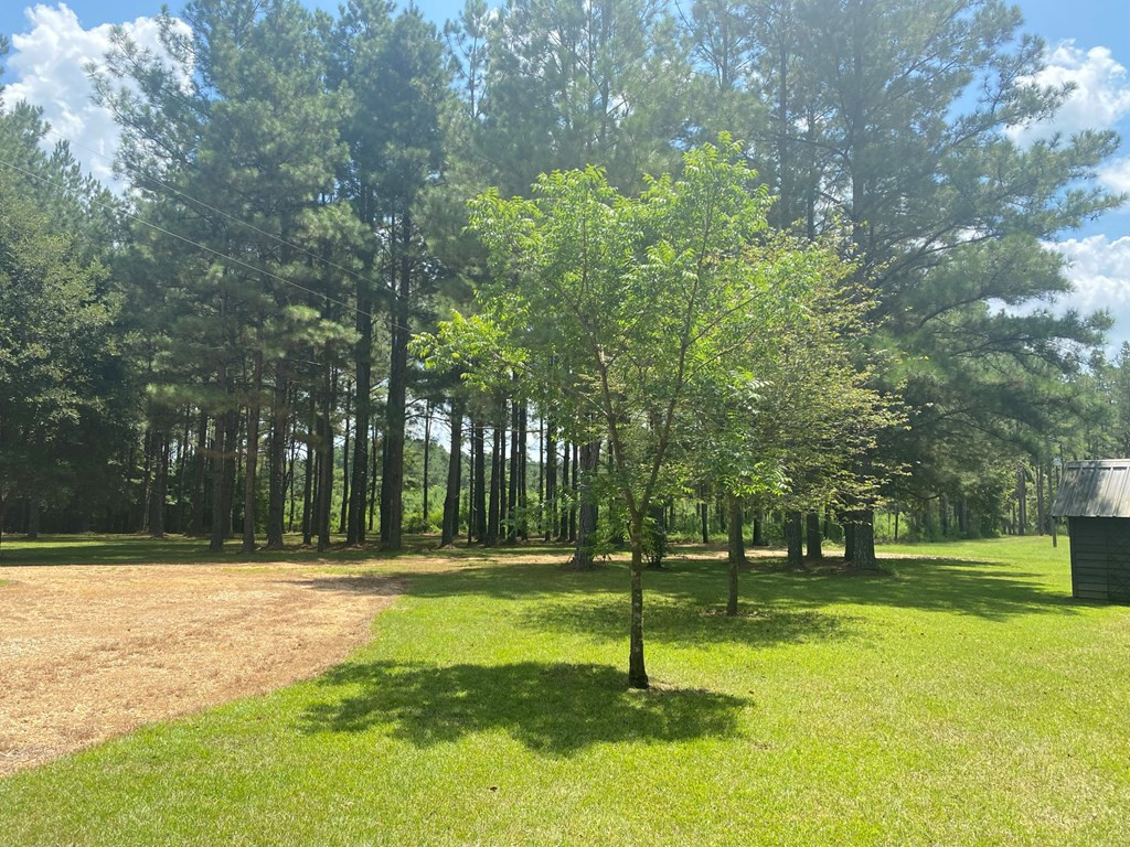 88 A Hinson Road Tylertown, MS 39667 - Photo 5 of 23 Photo 5