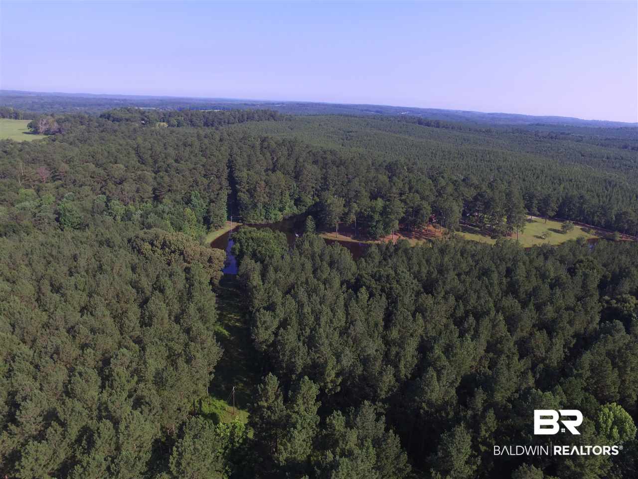 744 Fox Trot Road Grove Hill, AL 36451 - Photo 45 of 46