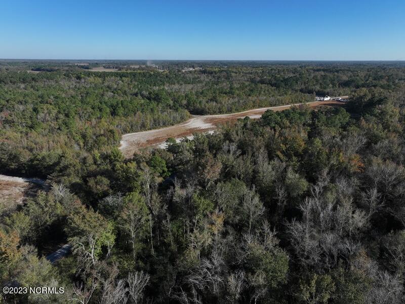 Tbd Corey Road Maxton, NC 28364 - Photo 5 of 15 DJI_20231103155528_0041_D