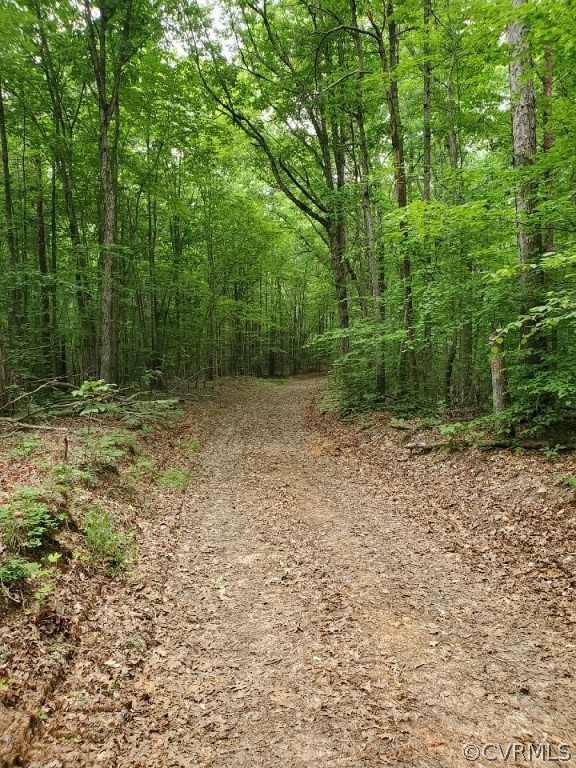 0 Spring Road Bremo Bluff, VA 23022 - Photo 8 of 10 Gallery Image 8