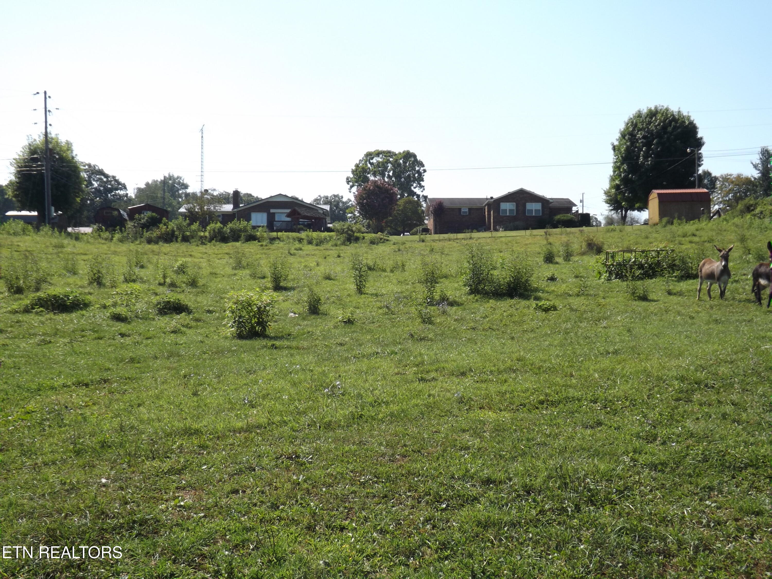 0 Shawanee Road Harrogate, TN 37752 - Photo 15 of 20 DSCF2974