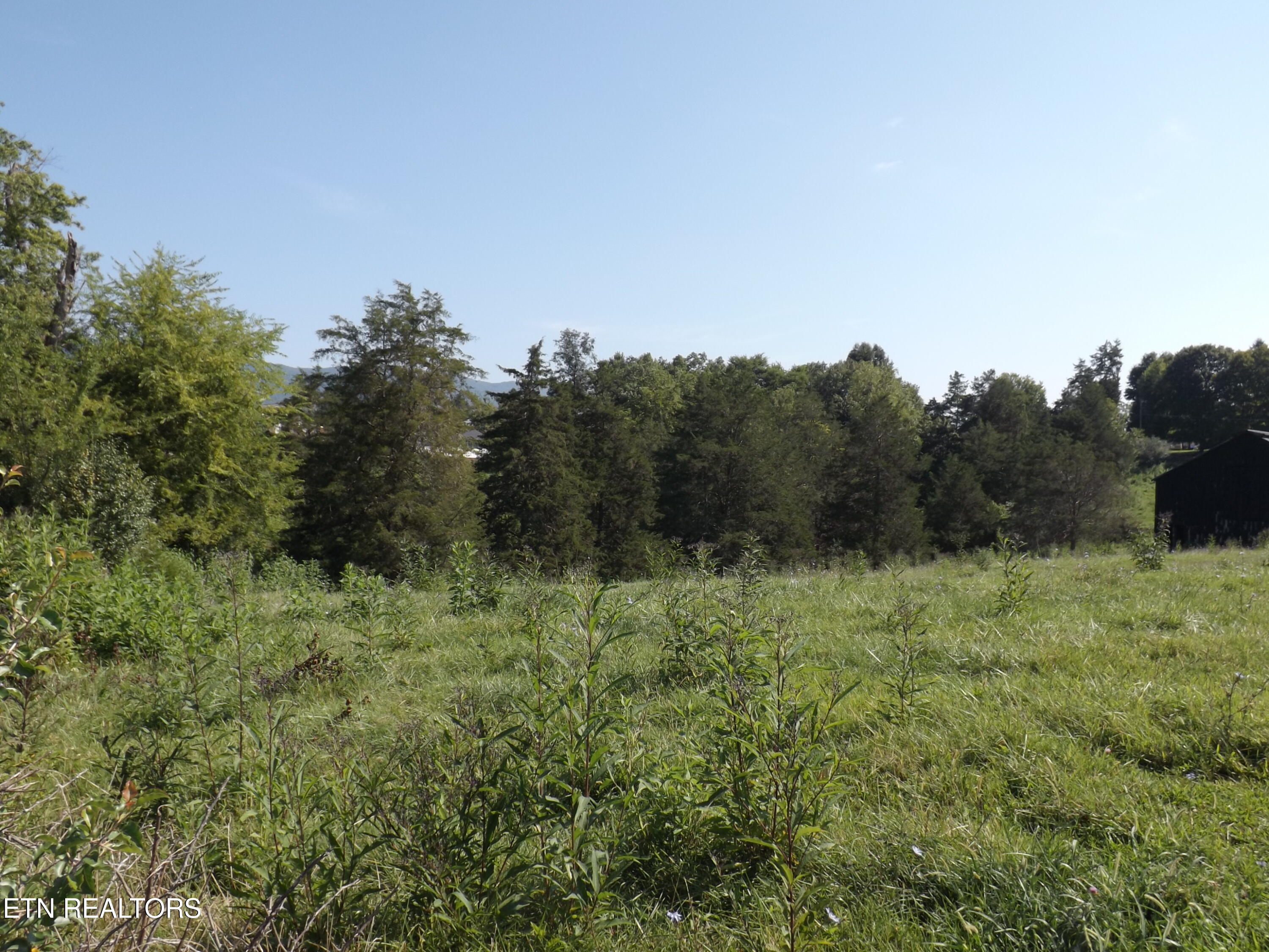 0 Shawanee Road Harrogate, TN 37752 - Photo 3 of 20 DSCF2962