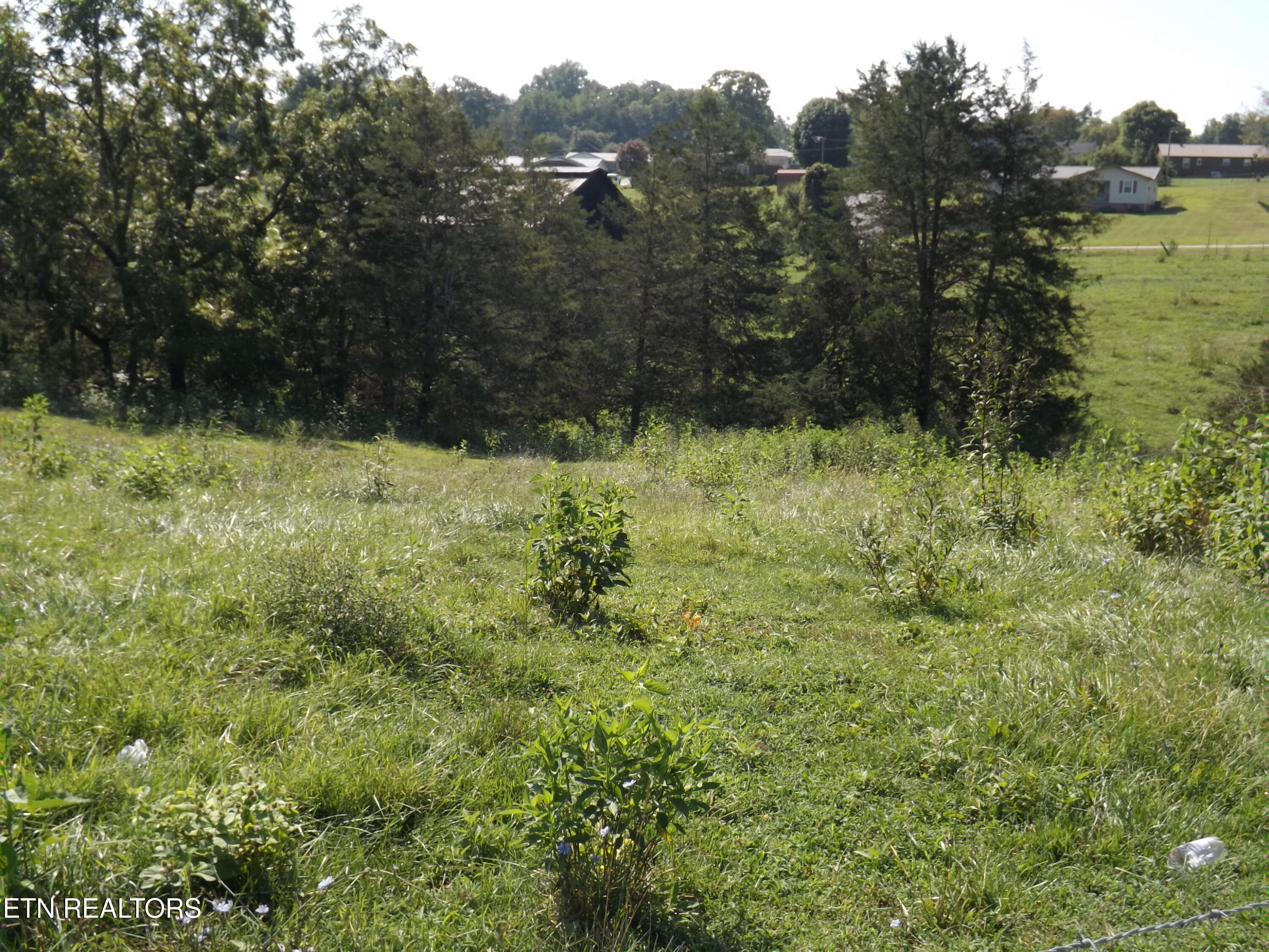 0 Shawanee Road Harrogate, TN 37752 - Photo 6 of 20 DSCF2965