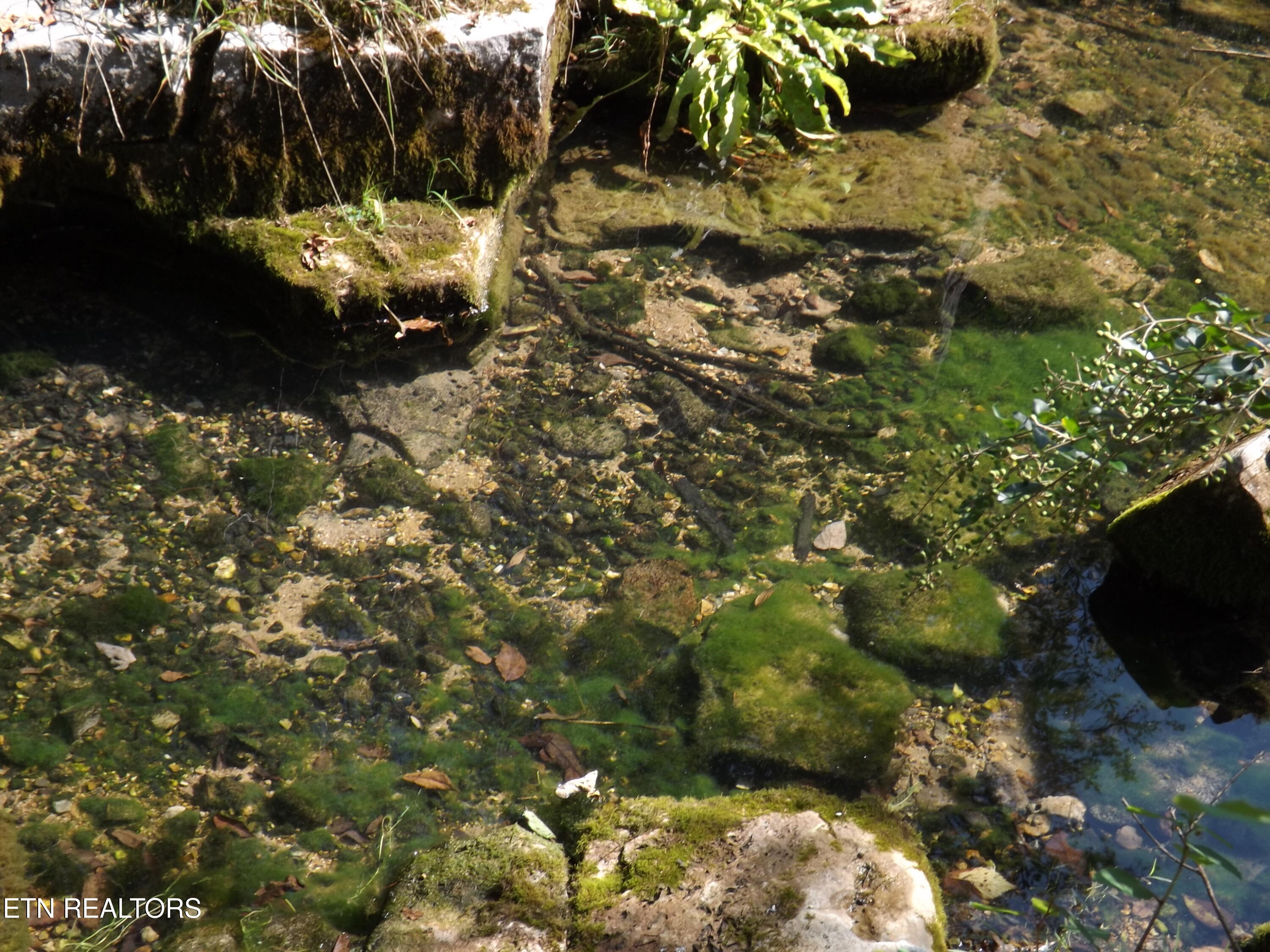 0 Shawanee Road Harrogate, TN 37752 - Photo 8 of 20 DSCF2967