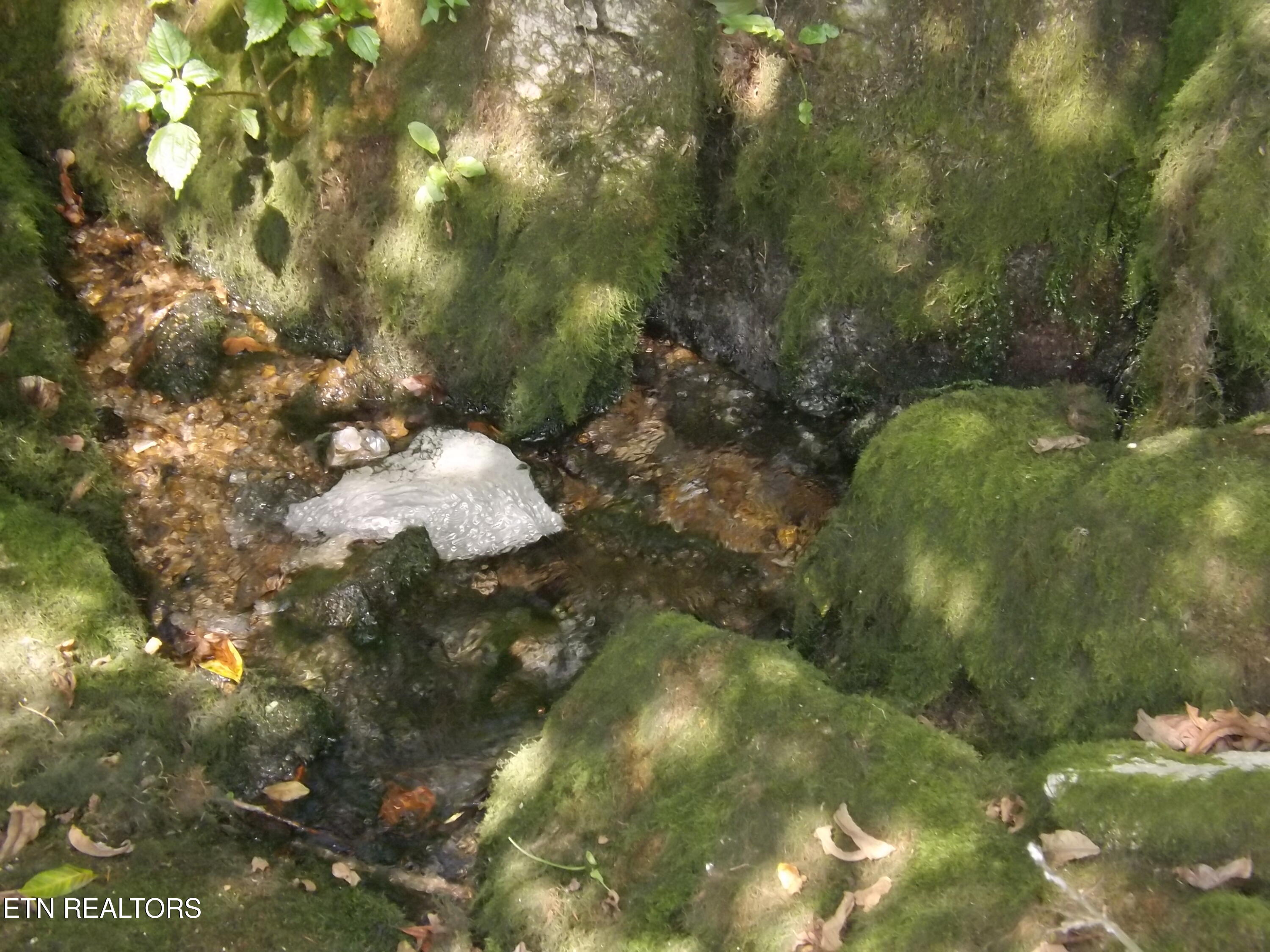 0 Shawanee Road Harrogate, TN 37752 - Photo 9 of 20 DSCF2968