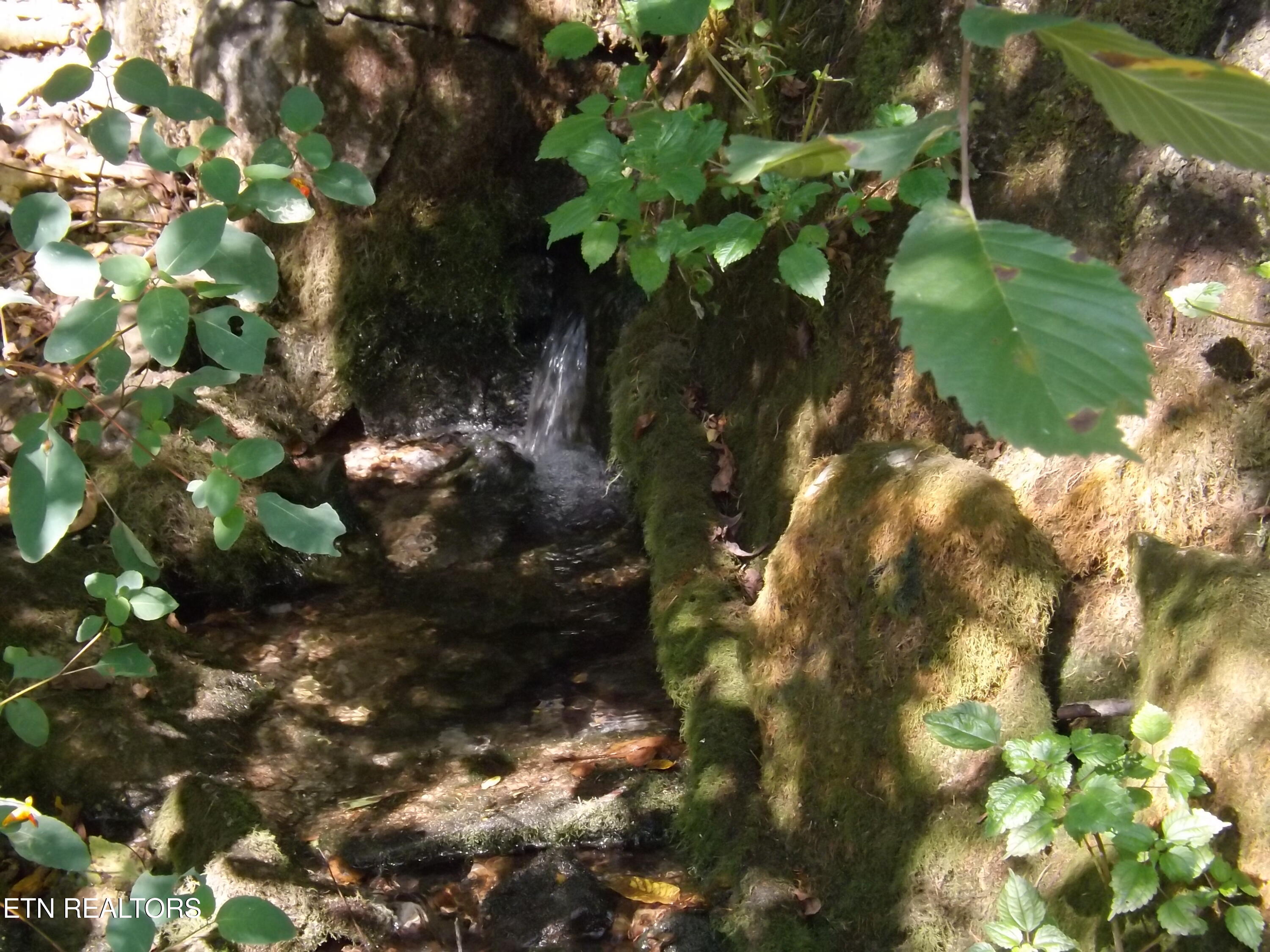 0 Shawanee Road Harrogate, TN 37752 - Photo 10 of 20 DSCF2969