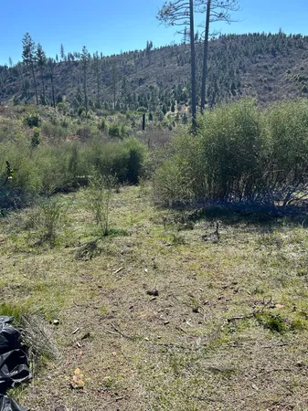 $26,000 | 1234 Hog Ranch Road, Oroville, CA 95965