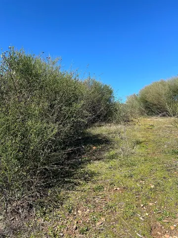 a view of a house with a yard and swimming pool