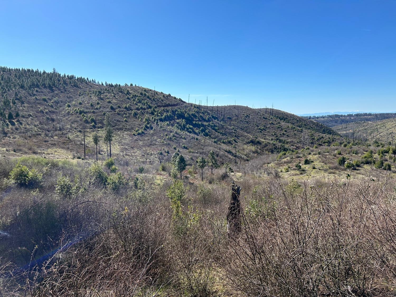 1234 Hog Ranch Road Oroville, CA 95965 - Photo 9 of 21 a view of a dry field with green space