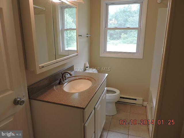10262 Harrison Road Berlin, MD 21811 - Photo 5 of 15 Gallery Image 5