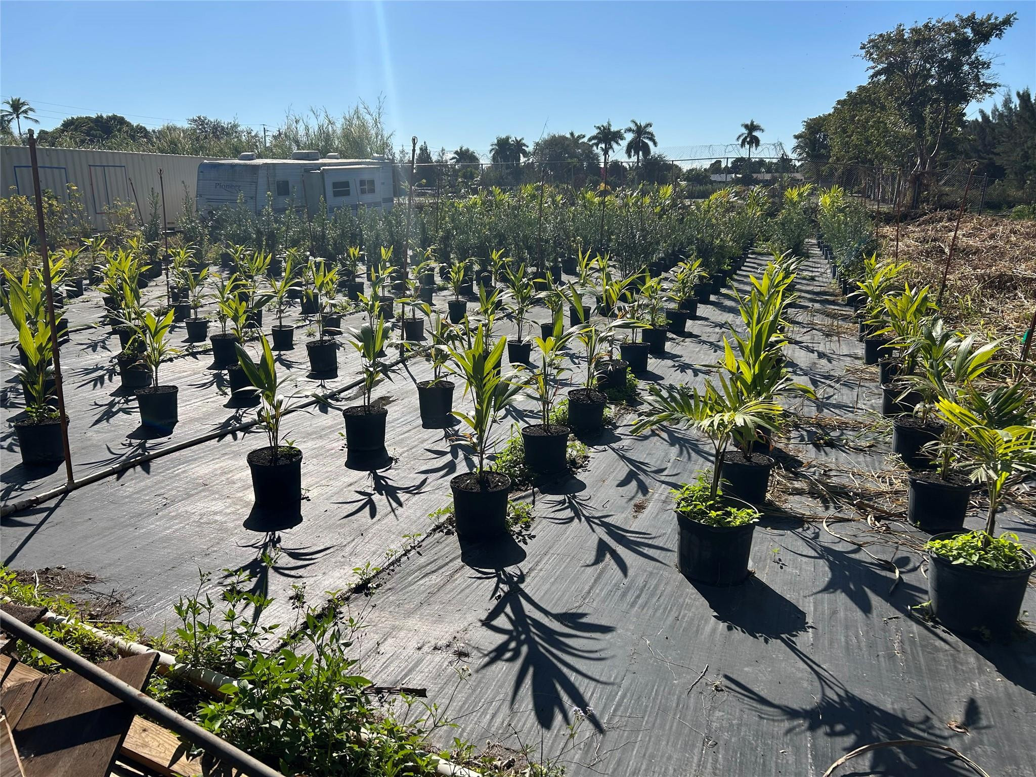 5225 Southwest 210th Terrace Southwest Ranches, FL 33332 - Photo 2 of 3 Photo 2