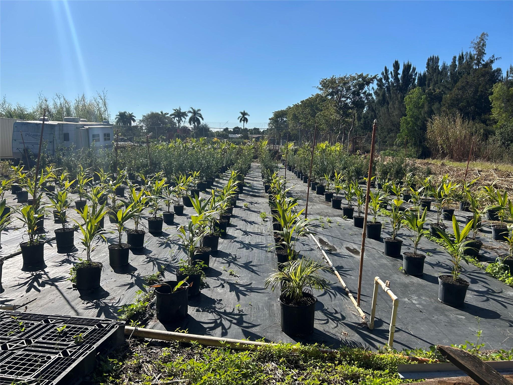 5225 Southwest 210th Terrace Southwest Ranches, FL 33332 - Photo 3 of 3 Photo 3