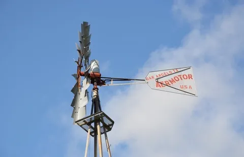 a view of a hallway with a flower pot and a wall painting