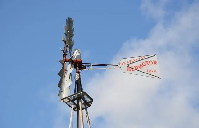 a view of a hallway with a flower pot and a wall painting