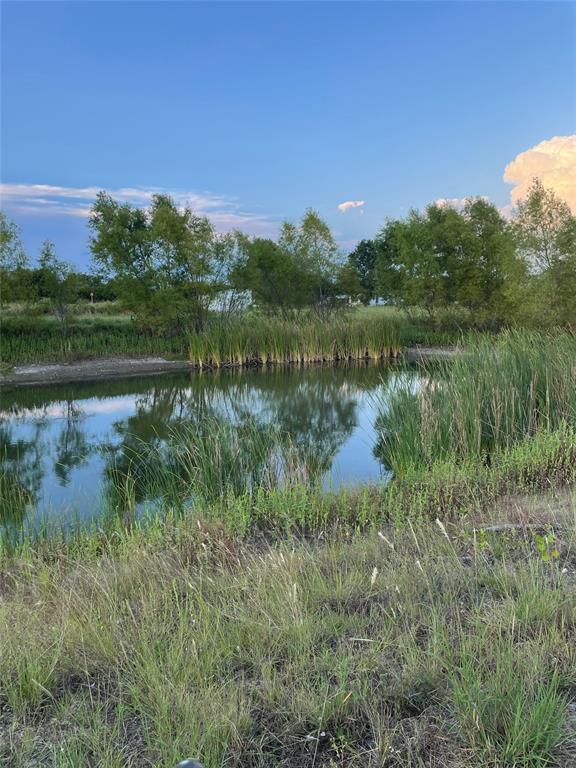 13347 Old China Spring Road China Spring, TX 76633 - Photo 28 of 38 a view of a lake in middle of forest