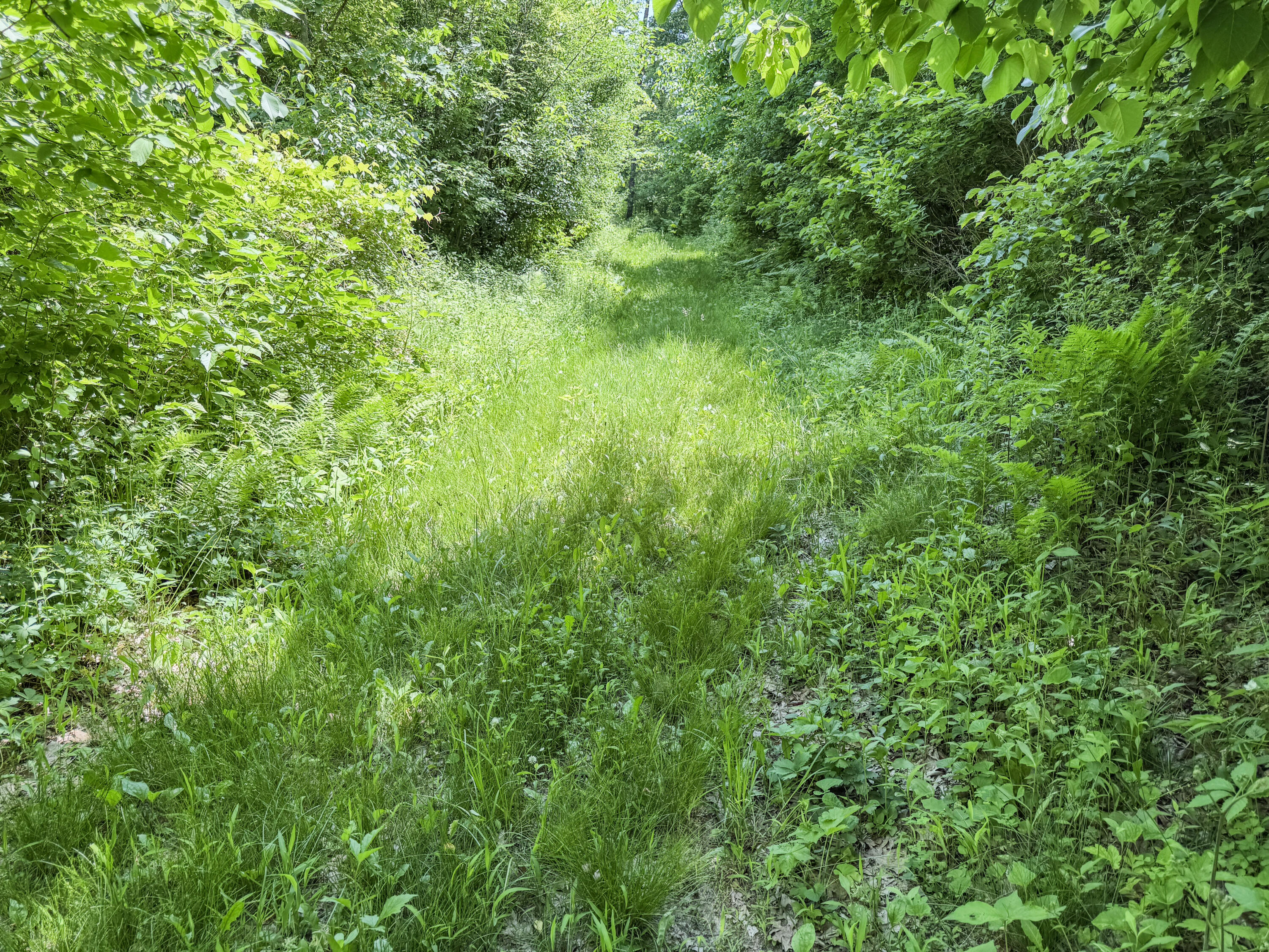 0 Dopp Road Galesville, WI 54630 - Photo 51 of 65 24-IMG_3335