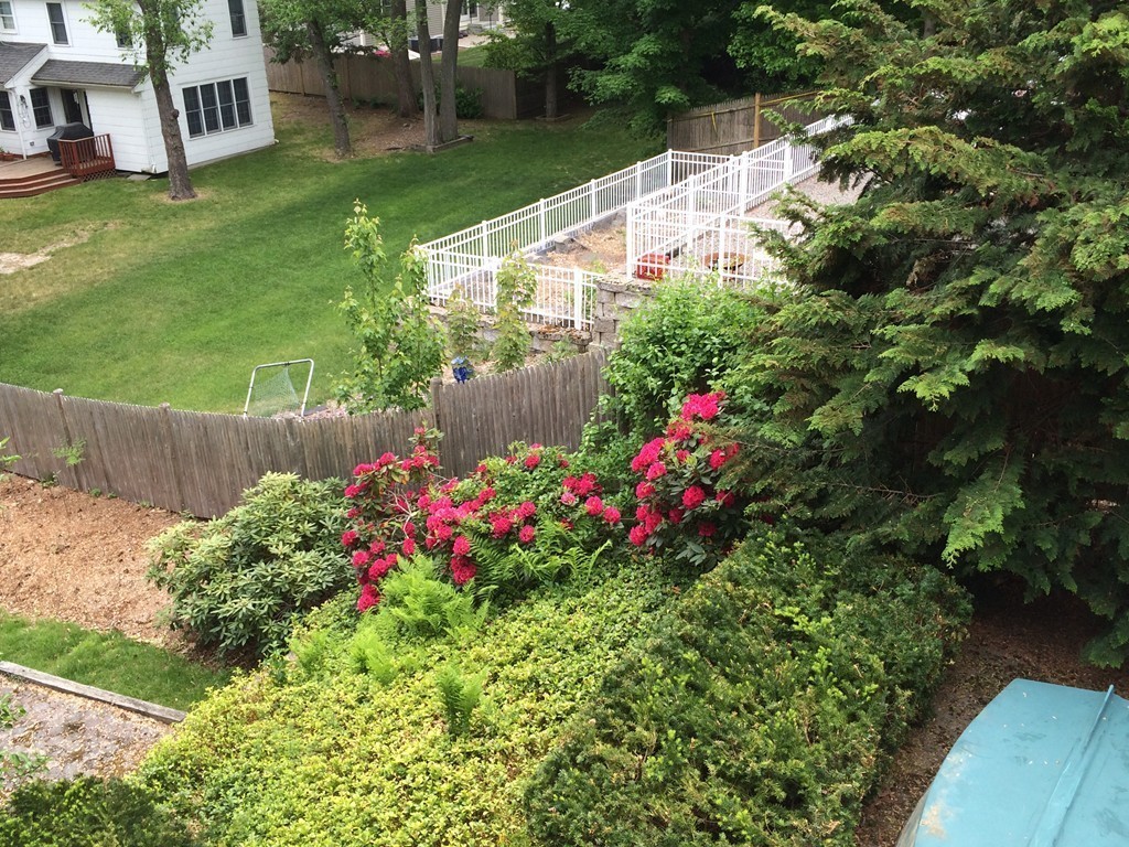 36 Lawton Road Needham, MA 02492 - Photo 25 of 30