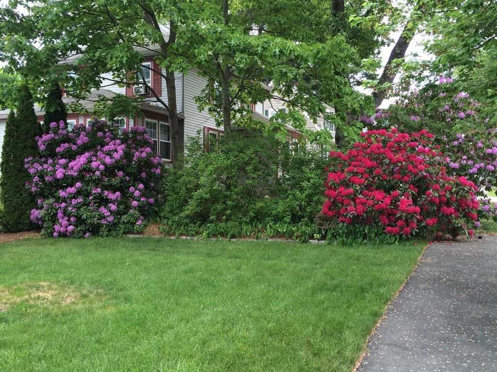 36 Lawton Road Needham, MA 02492 - Photo 29 of 30